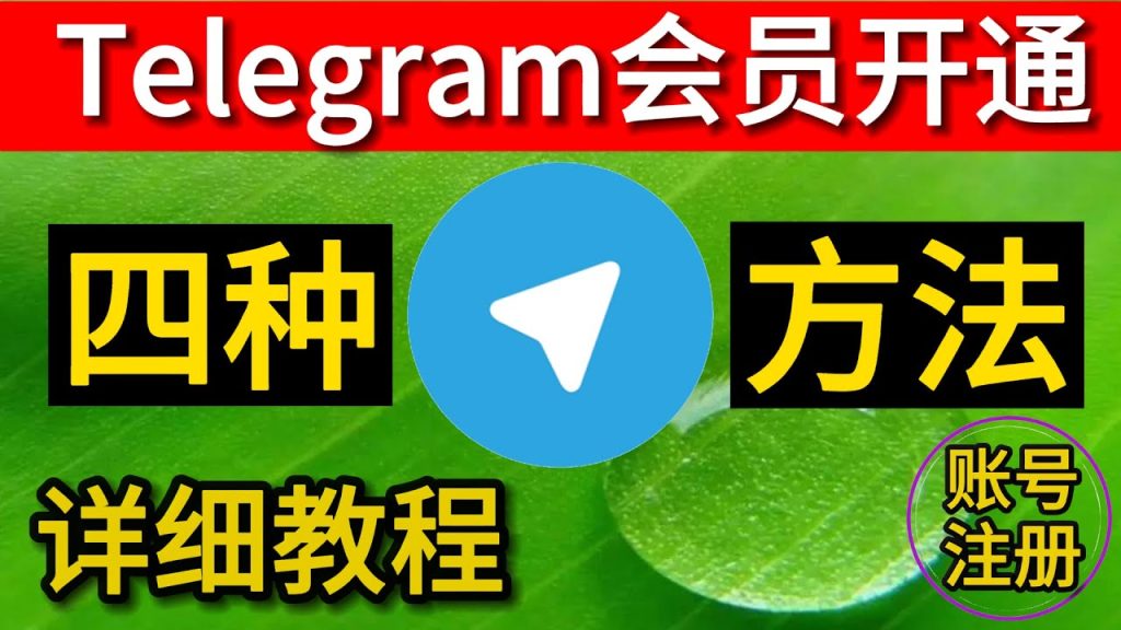 Telegram會員開通流程詳解